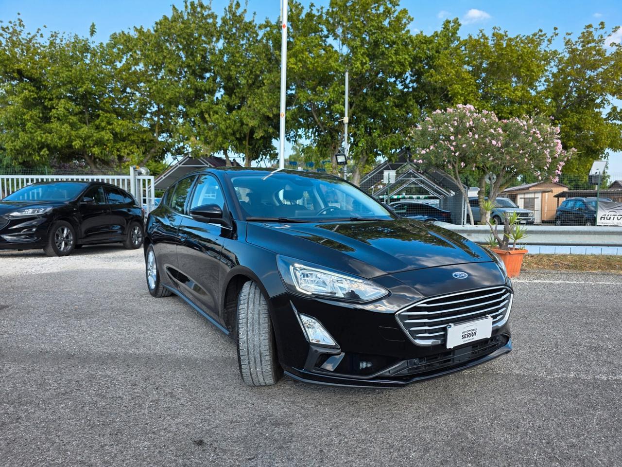 Ford Focus 1.5 EcoBlue 120 CV 5p. Active