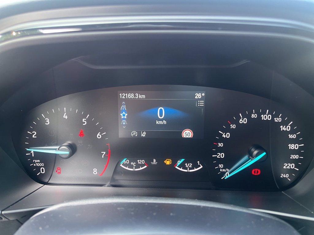 FORD Focus 1.0t ecoboost h ST-Line 125cv del 2024