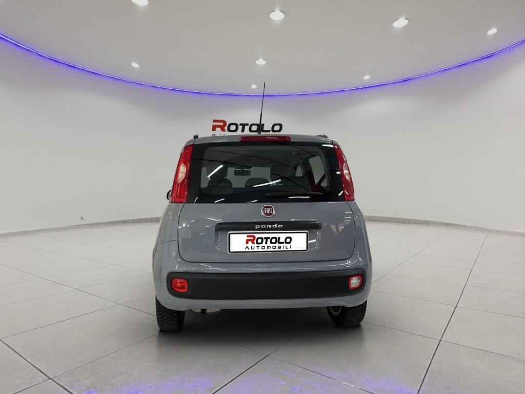 FIAT Panda 3ª serie Panda 1.2 Lounge
