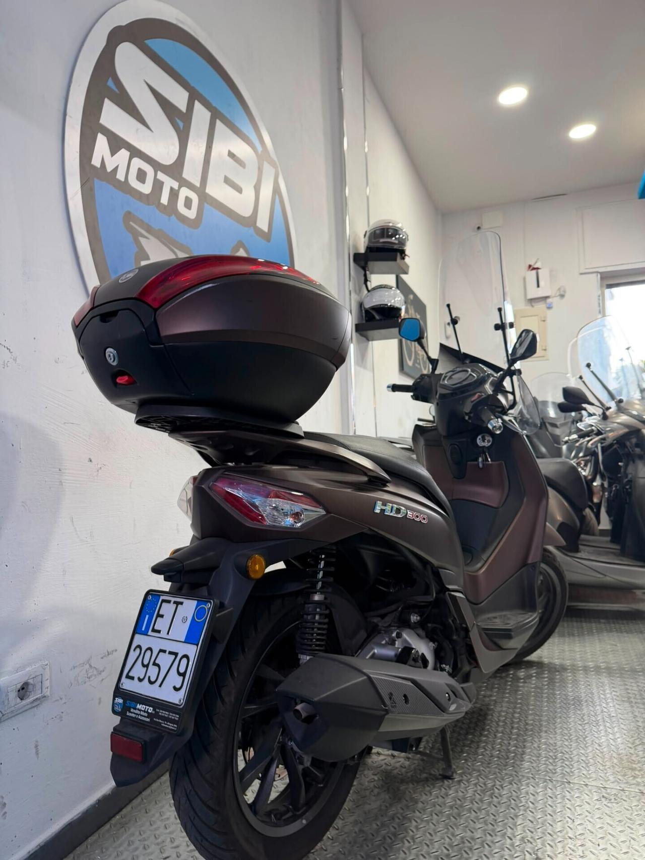 Sym HD 300