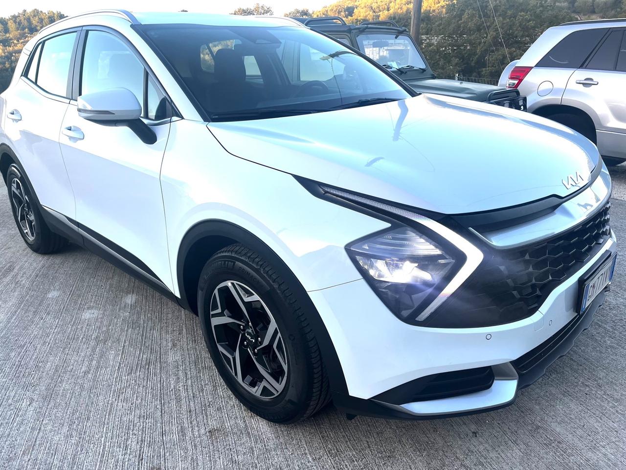 Kia Sportage 1.6 CRDi MHEV DCT Business