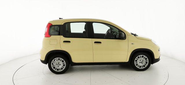 FIAT Panda 1.0 FireFly S&S Hybrid - KM ZERO