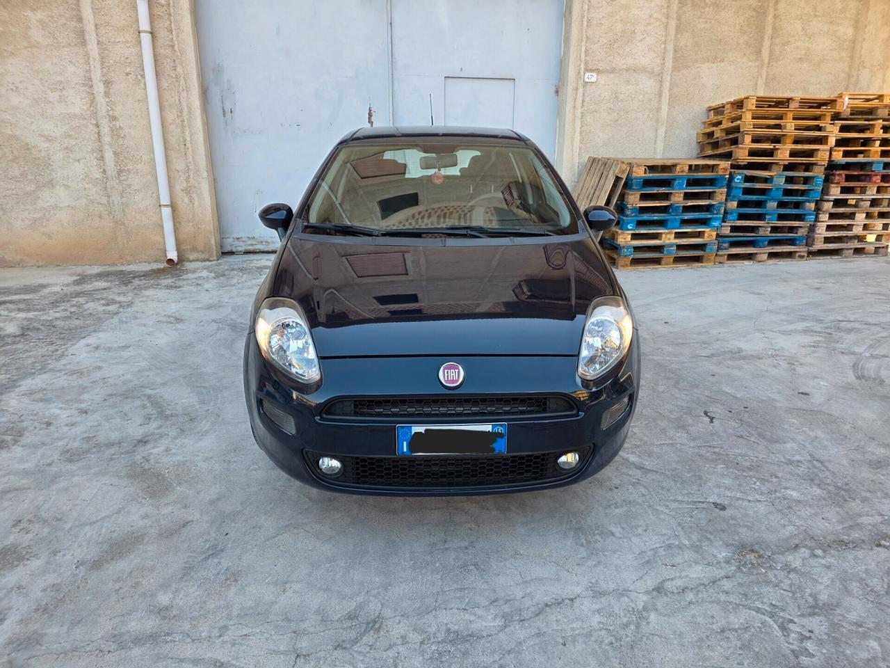 Fiat Punto 1.3 MJT II 75 CV 5 porte Street