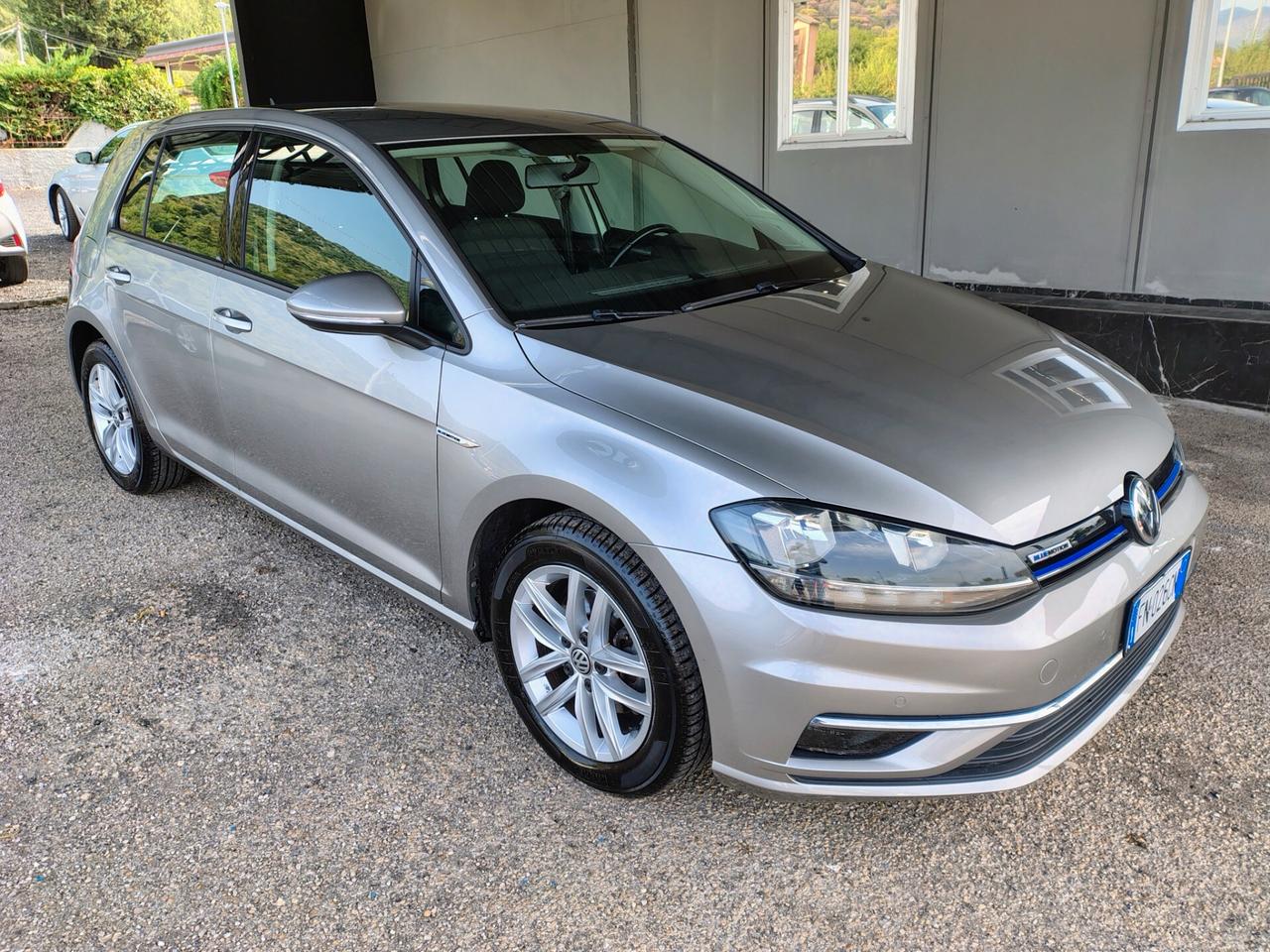 Volkswagen Golf 1.4 TGI 5p. Executive BlueMotion