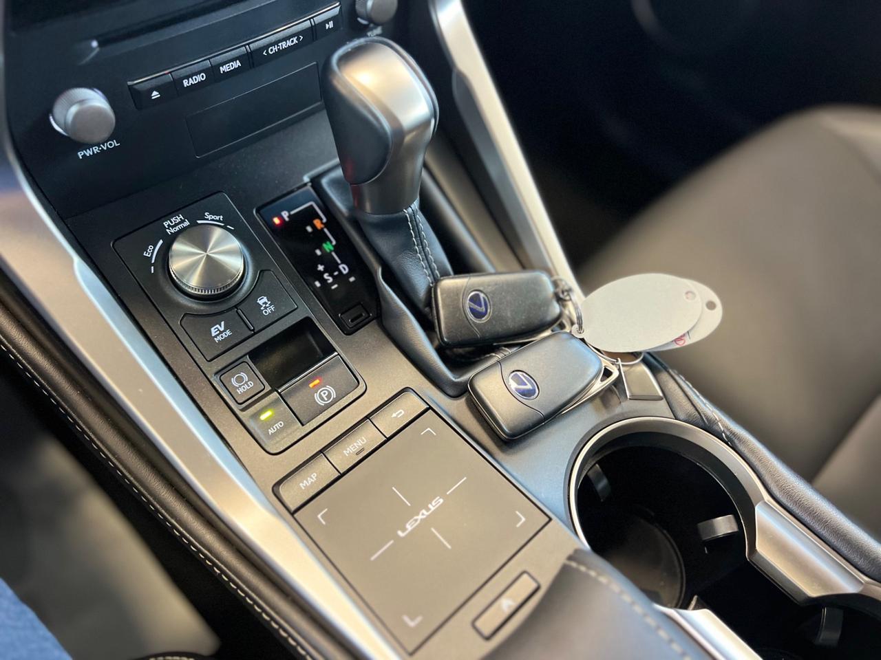 Lexus NX 300h NX Hybrid 4WD Executive