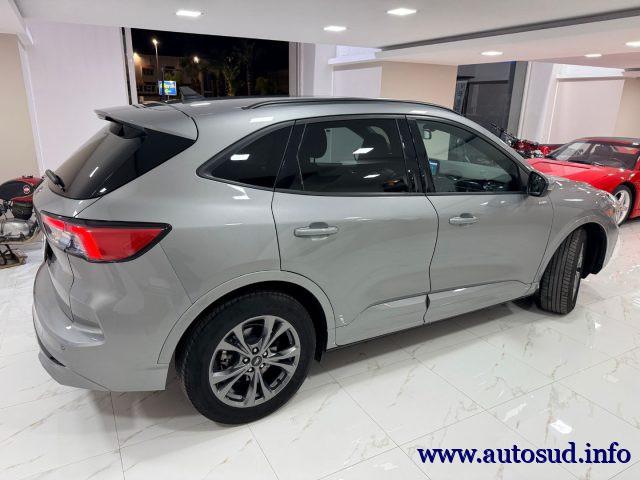 FORD Kuga 1.5 EcoBoost 150 CV S&S 2WD ST-Line Business