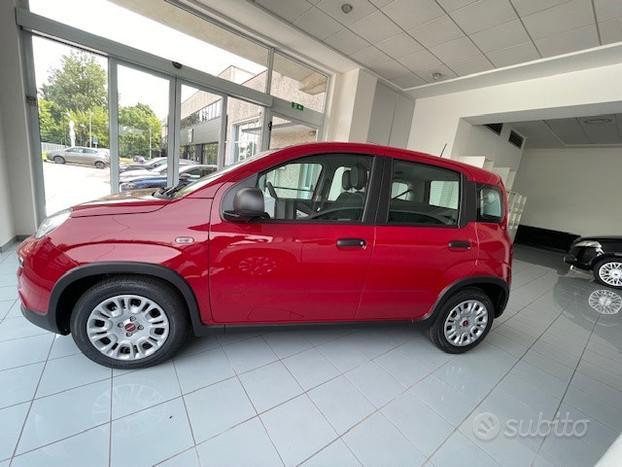 FIAT Panda 1.0 70cv Hybrid Panda N71578