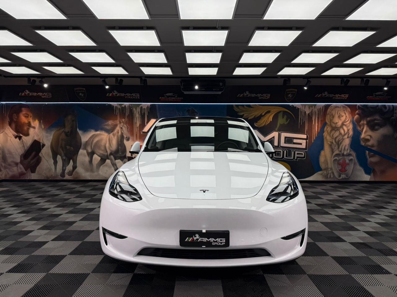 Tesla Model Y Long Range AWD (634)