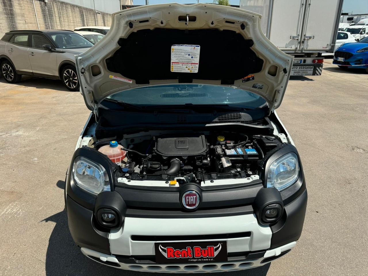 FIAT PANDA 1.0 70 CV. S&S HYBRID E6D-T CITY CROSS [RIF: 3624]