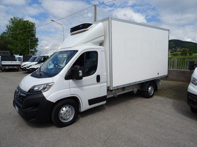OPEL Movano 35Q Maxi 140hp PLungo Cella-20° DoppiaTemperatur