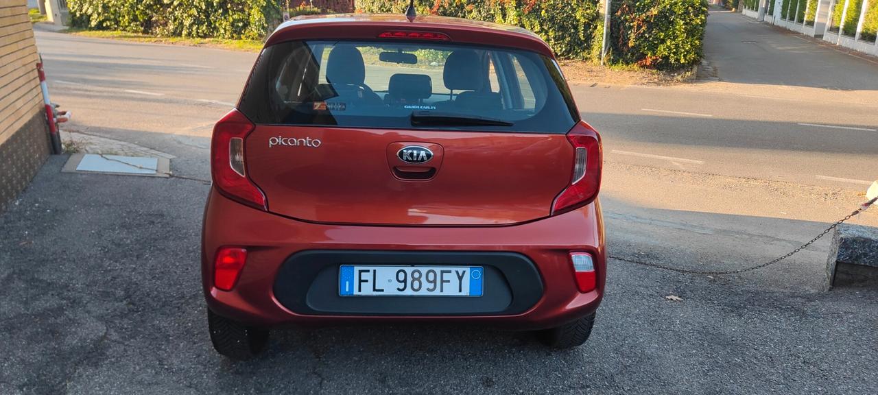 Kia Picanto 1.2 12V 5 porte GT Line