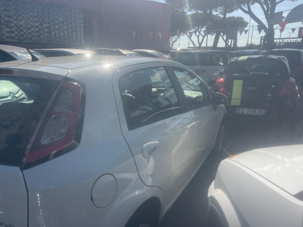 Fiat Punto Evo 1.4 5 porte MyLife EasyPower