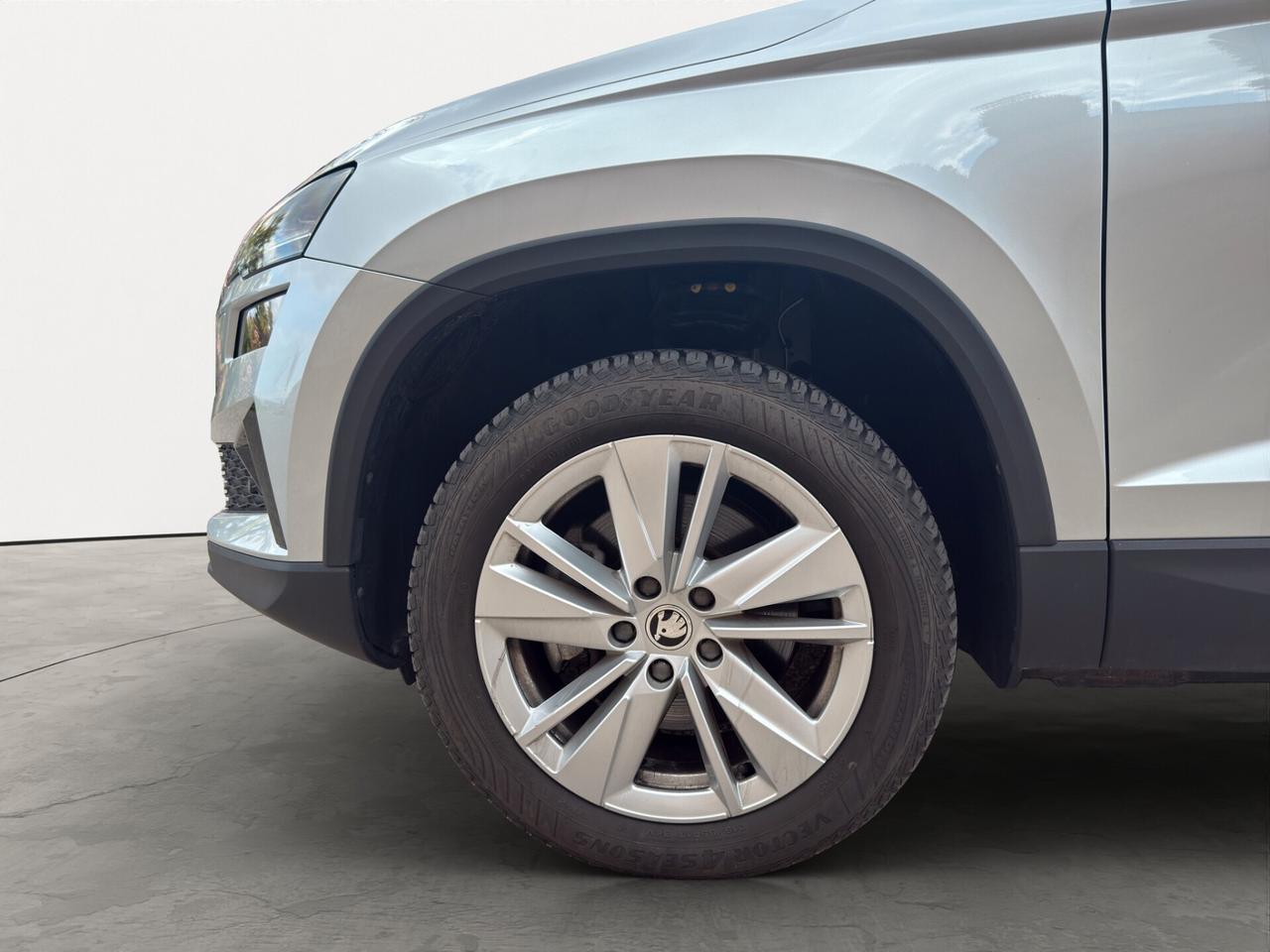 Skoda Karoq 2.0 TDI 115 CV Executive - 2024