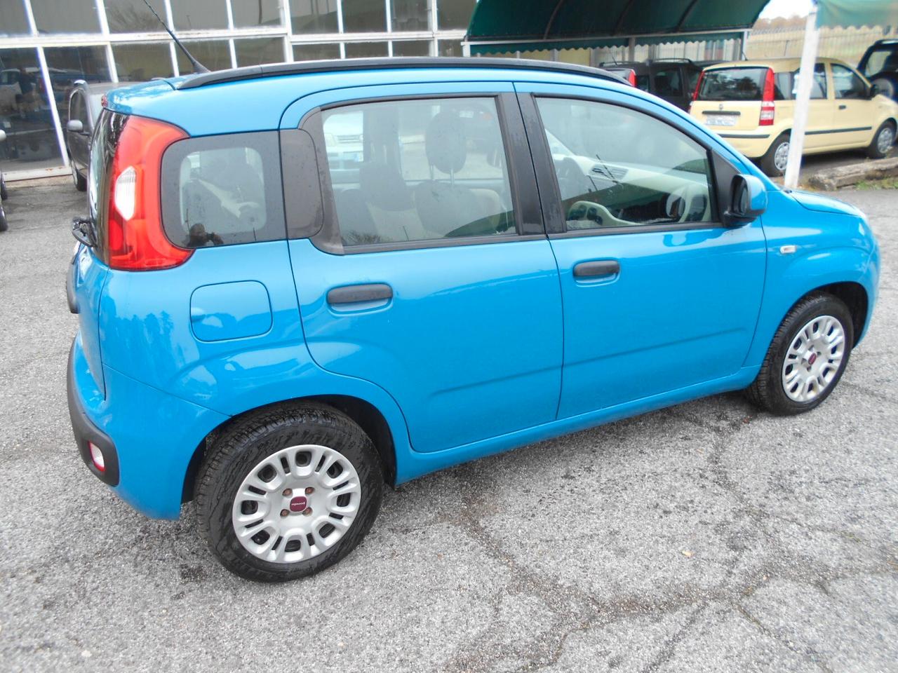 Fiat Panda 1.2 Lounge 5 POSTI NEOPATENTATI