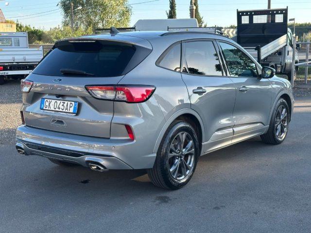 FORD Kuga 1.5 EcoBlue 120 CV 2WD ST-Line