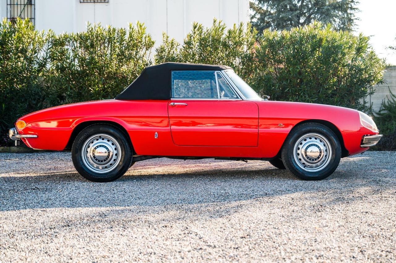 Alfa Romeo Spider 1600 Duetto ”Osso di Seppia”