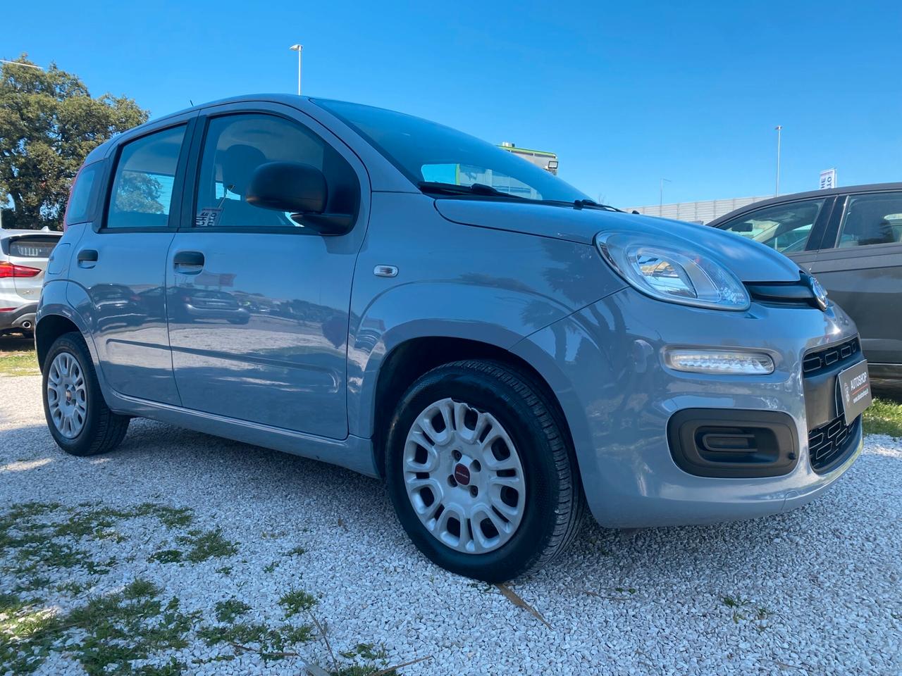 FIAT - Panda - 1.2 Easy - NEOPATENTATI - FINANZIABILE - PERMUTE