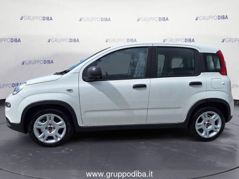 FIAT Panda Serie 7 1.0 70cv HybridPanda