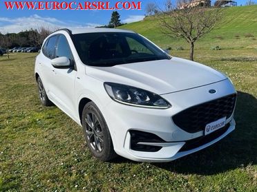 FORD Kuga 1.5 EcoBlue 120 CV 2WD ST-Line