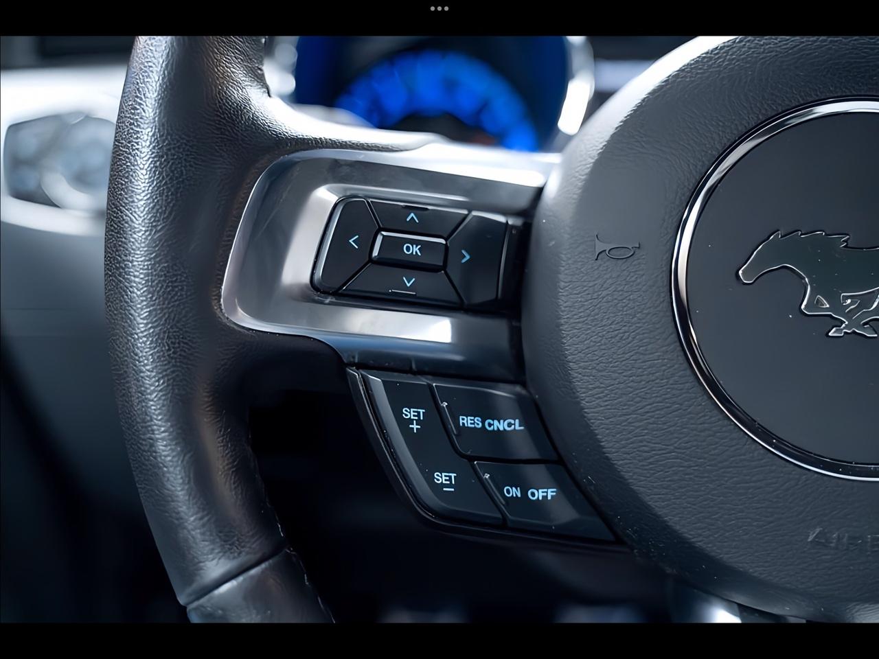 MUSTANG 320 CV PERFETTA