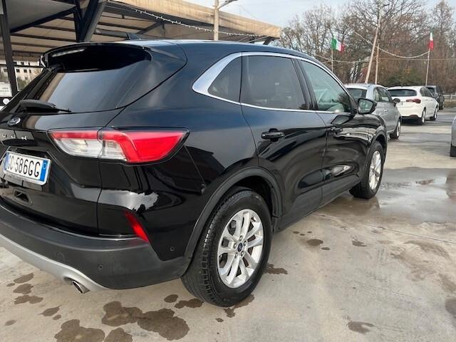 Ford Kuga 1.5 EcoBlue 120 CV 2WD Titanium