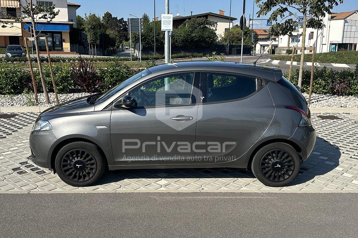 LANCIA Ypsilon 1.2 69 CV 5 porte Elefantino