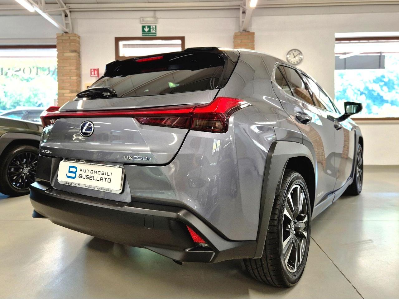 Lexus UX Hybrid 4WD Business