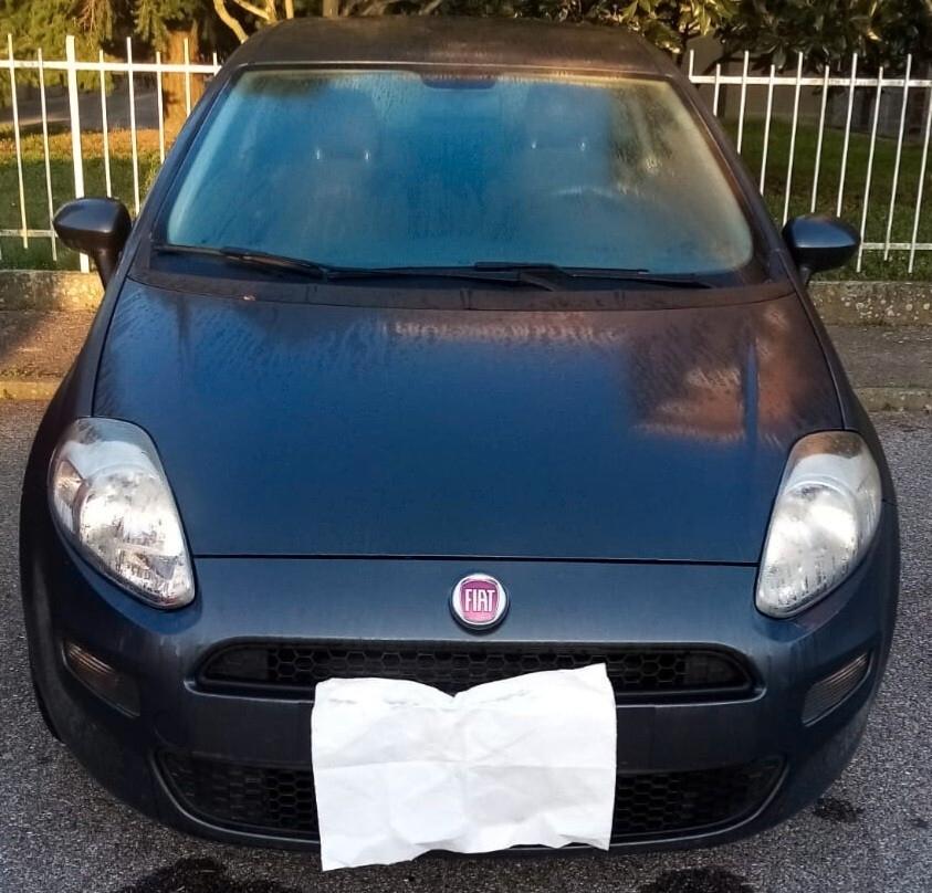 Fiat Punto 1.3 MJT II 75 CV 3 porte Street