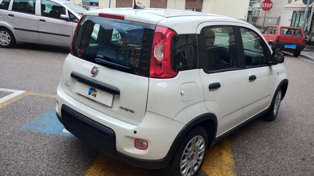 Fiat Panda 1.0 FireFly S&S Hybrid NEOPATENTATI