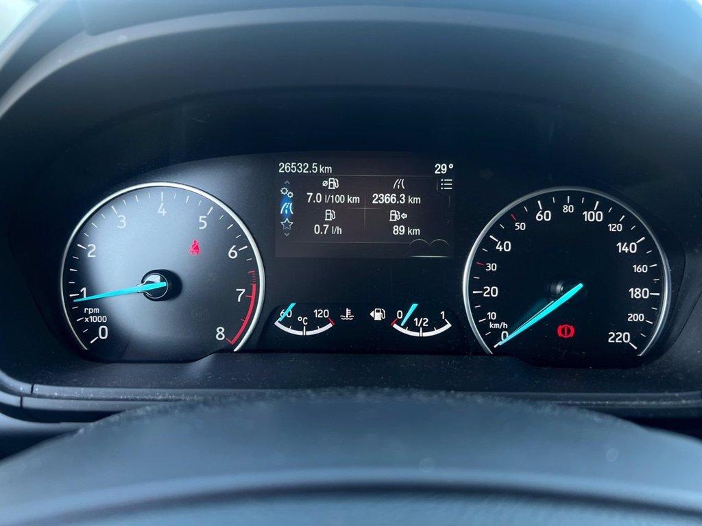 FORD EcoSport 1.0 EcoBoost 125 CV Start&Stop Active del 2022