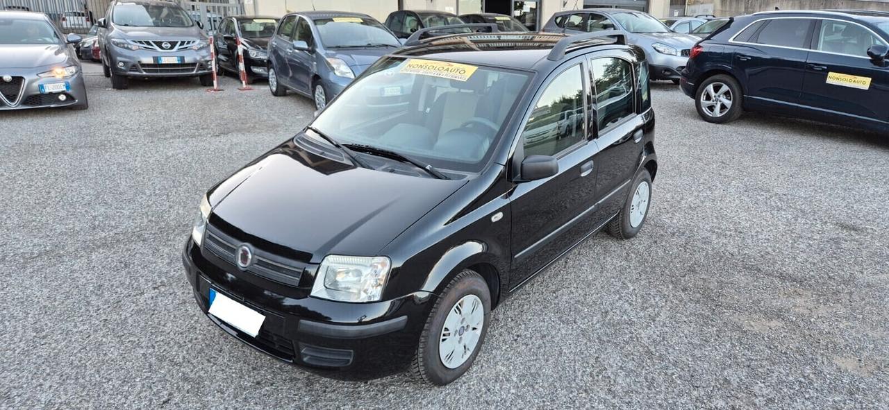 Fiat Panda 1.2 Dynamic - Bellissima