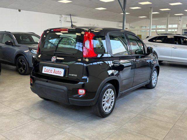 FIAT Panda 1.0 FireFly S&S Hybrid *UNICO PROPRIETARIO*