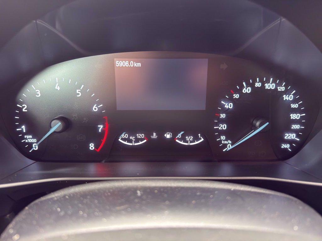 FORD Focus 1.0 EcoBoost Hybrid 125 CV SW ST-Line del 2024
