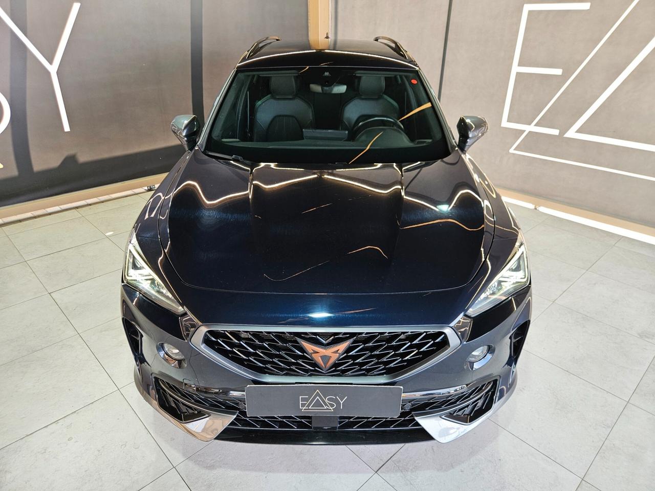 Cupra Formentor 2.0 TDI 4Drive DSG