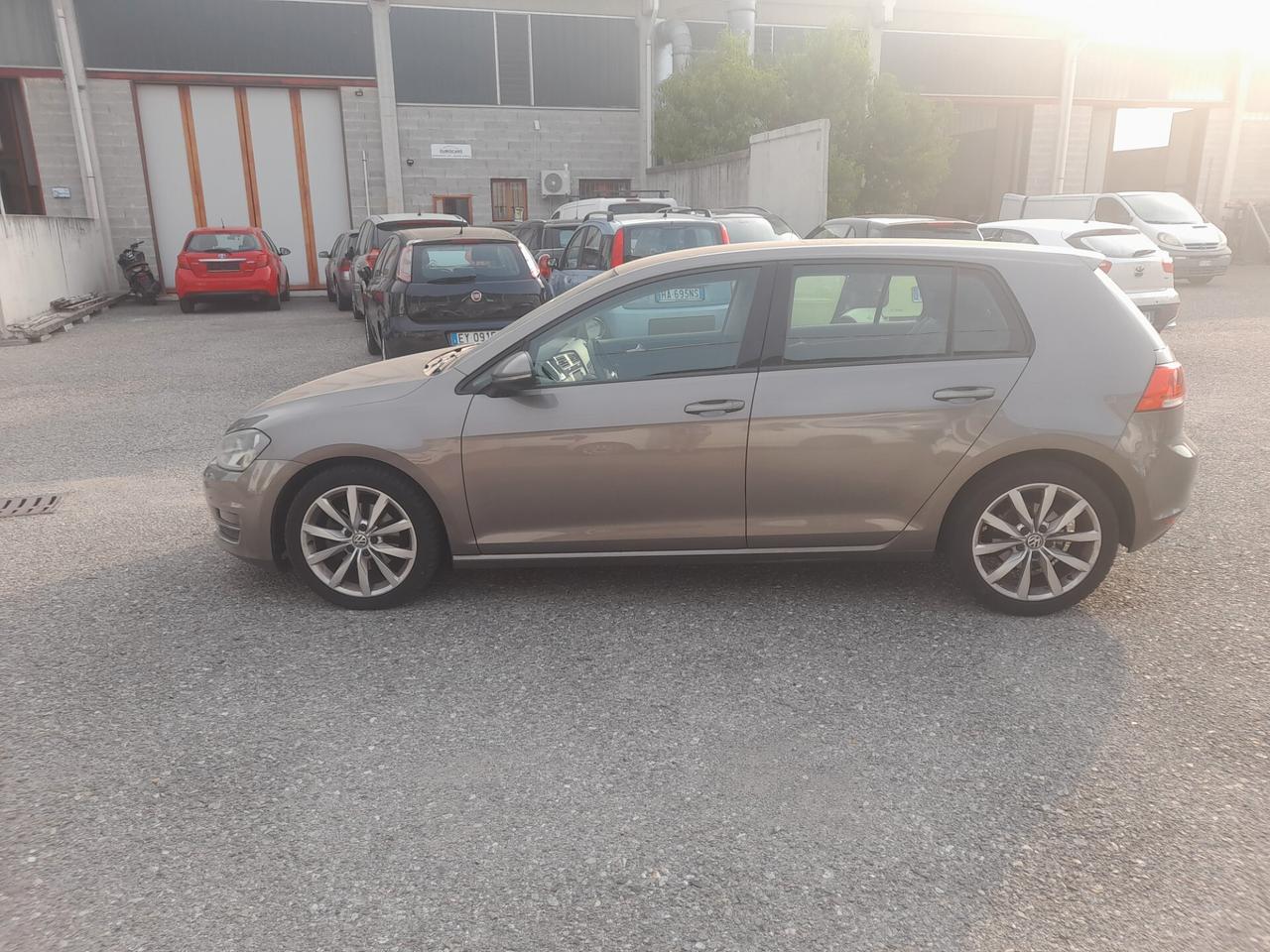 Volkswagen Golf Business 1.6 TDI DSG 5p. Highline