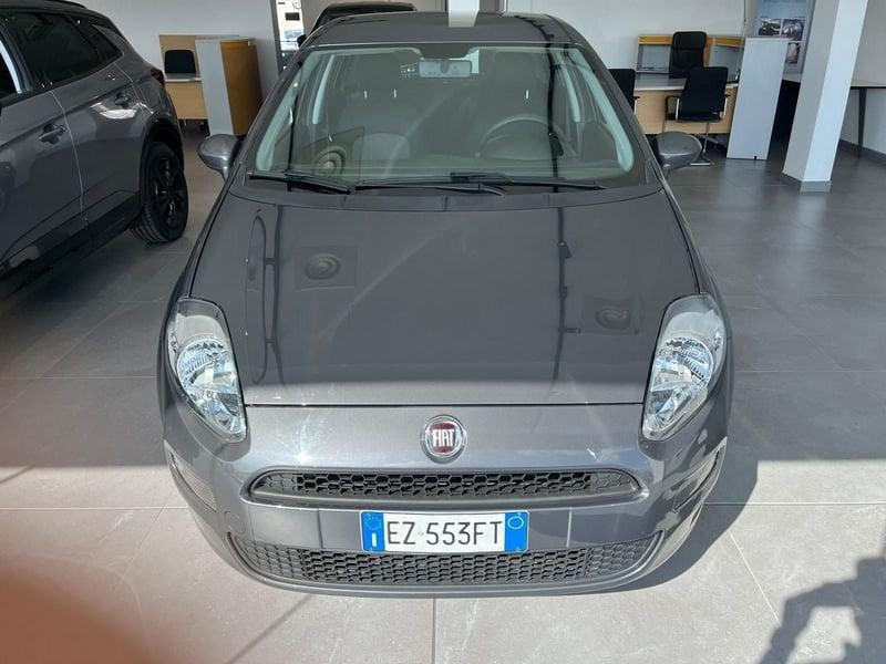 FIAT Punto Punto 1.2 8V 5 porte Street