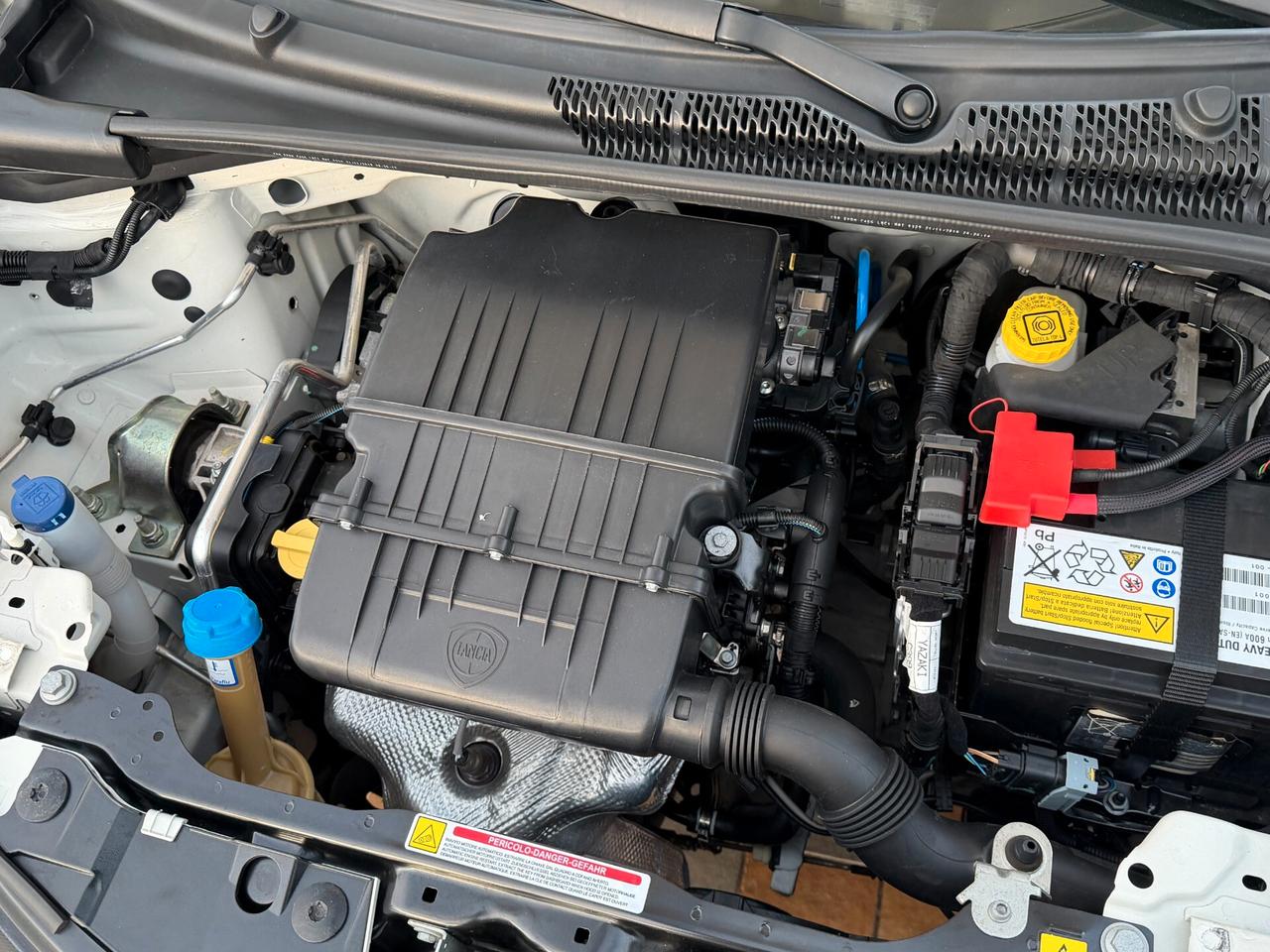 Lancia Ypsilon 1.2 69 cv. ELEFANTINO BLU