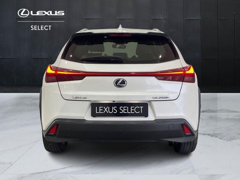 Lexus UX UX 250h 2.0 Business 2wd cvt my20