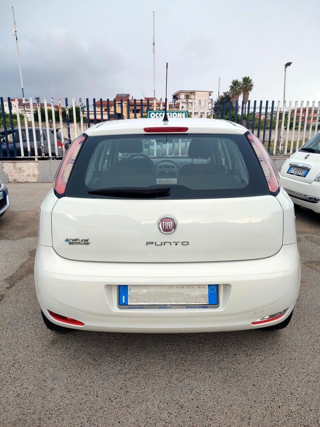 Fiat Punto 1.4 5 porte Natural Power Lounge 77cv