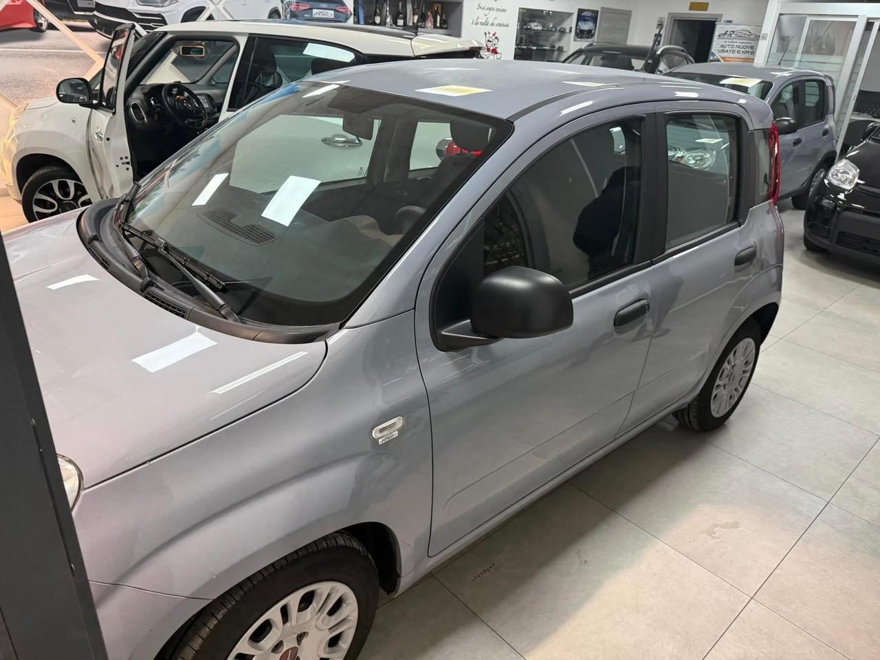Fiat Panda 1.2 EasyPower Easy