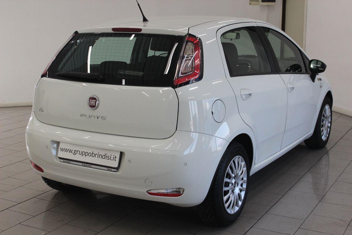 FIAT - Punto - 1.3 MJT II S&S 85 CV 5p.ECO Young