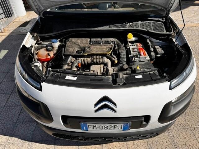 Citroen C4 Cactus BlueHDi 100 Shine