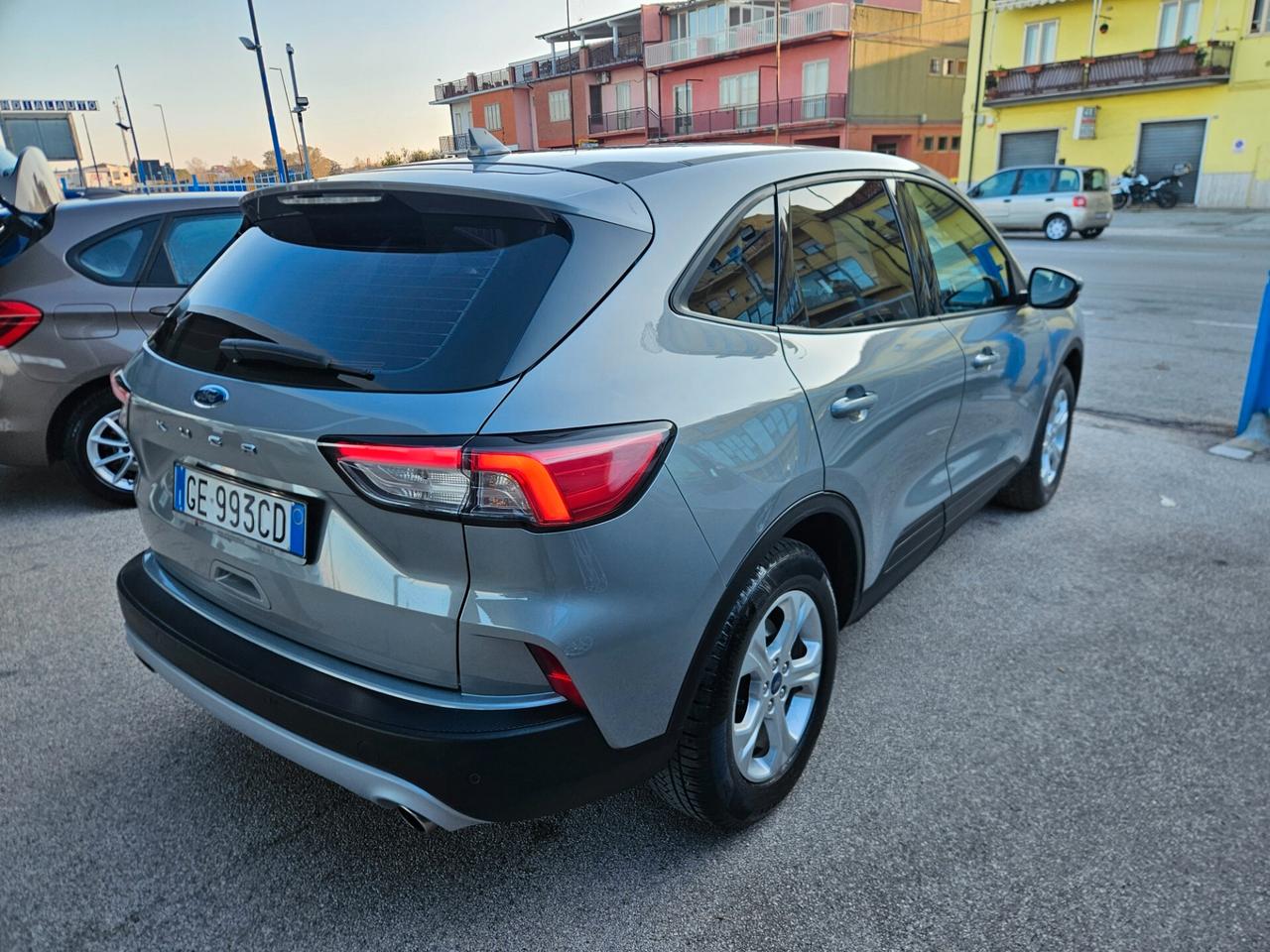 Ford Kuga 1.5 EcoBlue 120 CV aut. 2WD Connect