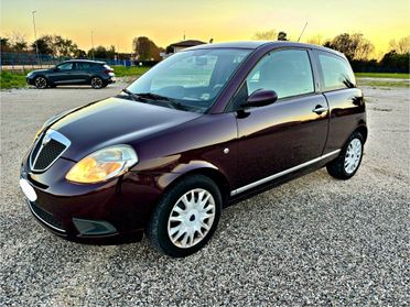Lancia Ypsilon 1.3 MJT 90 CV Platino