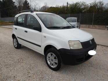 Fiat Panda 1.2 Benzina 4x4