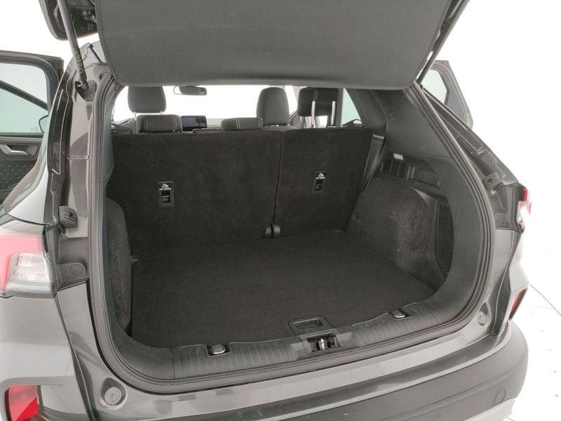 Ford Kuga Kuga 1.5 EcoBlue 120 CV aut. 2WD Titanium