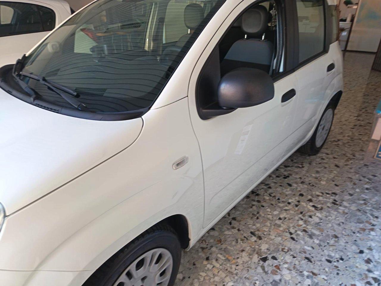 Fiat Panda 1.2 Easy easypower Gpl 69cv my19