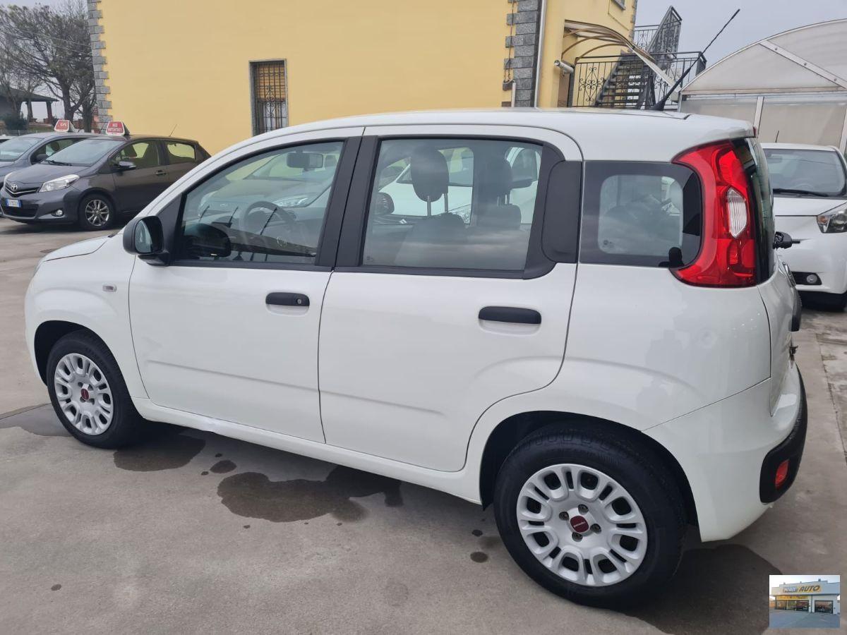 FIAT Panda 1.2 Trussardi Benzina-Neopatentati-2019