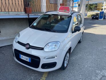 Fiat Panda 1.2 Easy - Nessun vincolo -