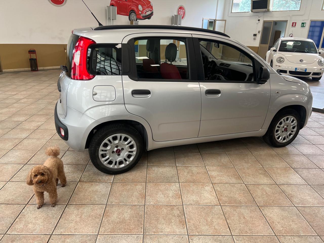 Fiat Panda 1.2 Easy cinghia distribuzione e friz nuova